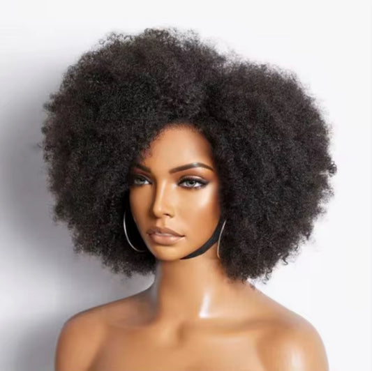 Brazilian Afro Kinky Wig